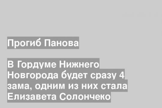 В Гордуме Нижнего Новгорода будет сразу 4 зама, одним из них стала Елизавета Солончеко