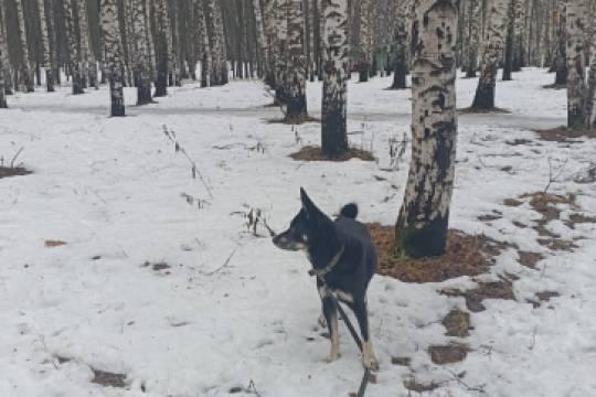 Фото: Алексей Гатилов