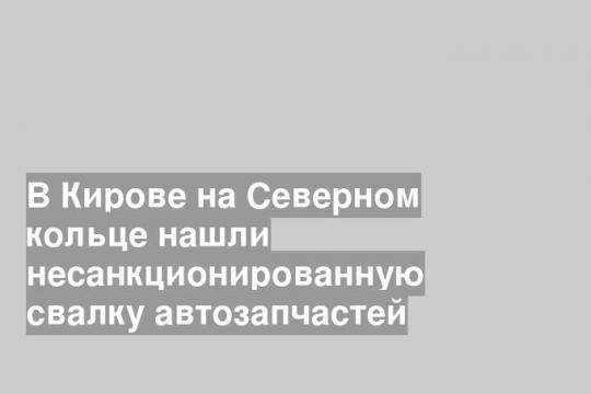 В Кирове на Северном кольце нашли несанкционированную свалку автозапчастей