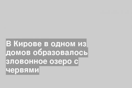 В Кирове в одном из домов образовалось зловонное озеро с червями