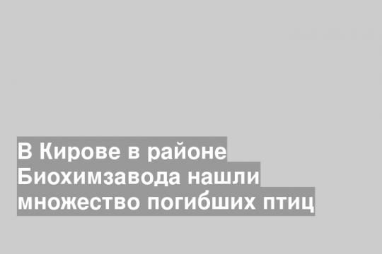 В Кирове в районе Биохимзавода нашли множество погибших птиц