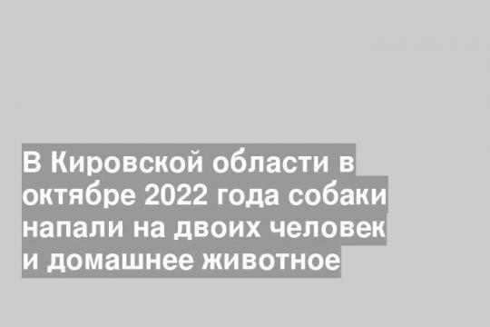 В Кировской области в октябре 2022 года собаки напали на двоих человек и домашнее животное