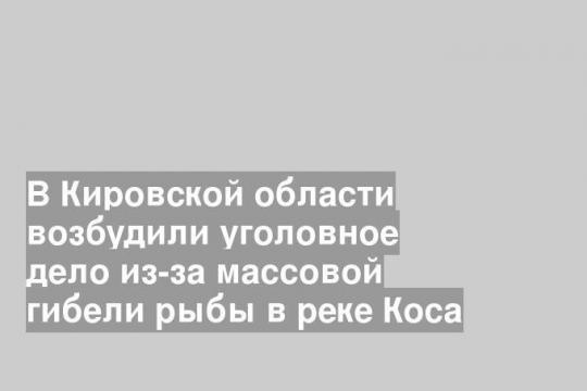 Фото пресс-службы прокуратуры Кировской области