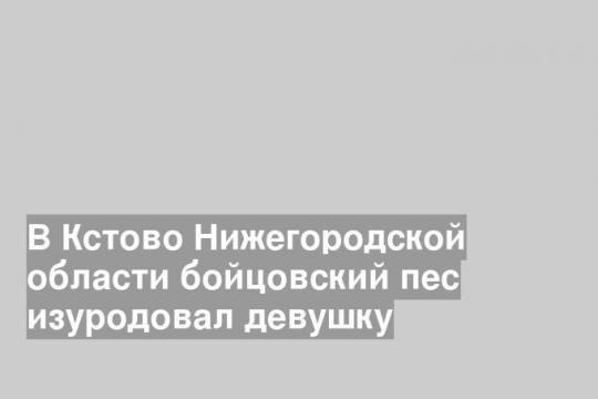 В Кстово Нижегородской области бойцовский пес изуродовал девушку