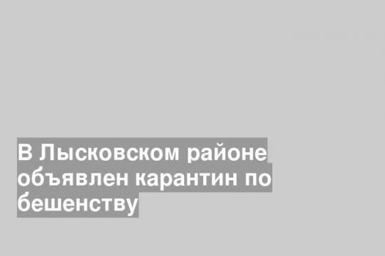 В Лысковском районе объявлен карантин по бешенству