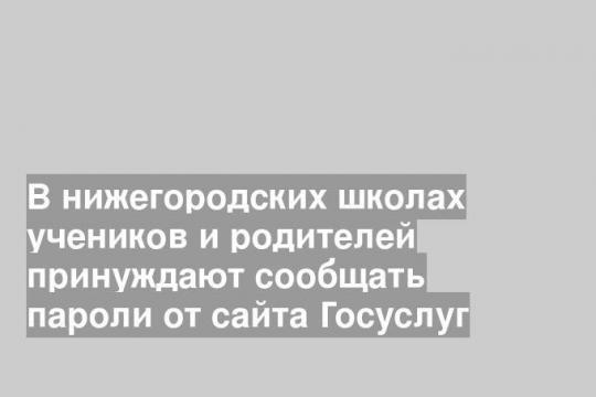 В нижегородских школах учеников и родителей принуждают сообщать пароли от сайта Госуслуг