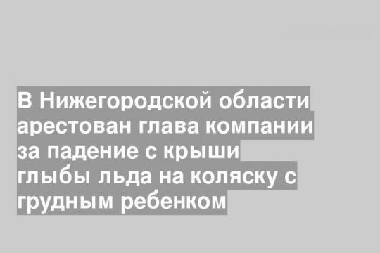 В Нижегородской области арестован глава компании за падение с крыши глыбы льда на коляску с грудным ребенком