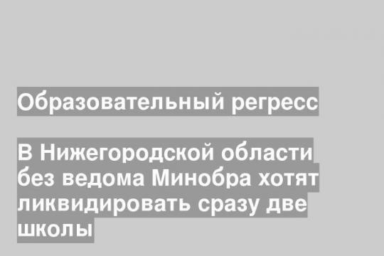 В Нижегородской области без ведома Минобра хотят ликвидировать сразу две школы