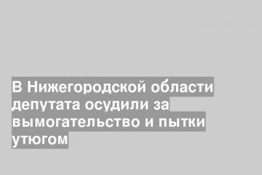В Нижегородской области депутата осудили за вымогательство и пытки утюгом