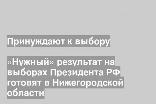 «Нужный» результат на выборах Президента РФ готовят в Нижегородской области