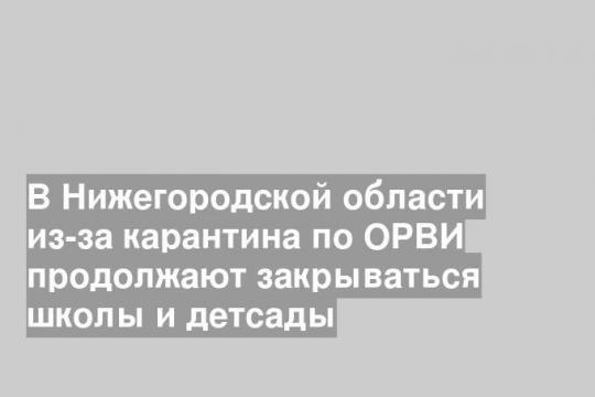 В Нижегородской области из-за карантина по ОРВИ продолжают закрываться школы и детсады