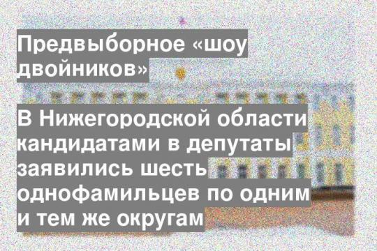 В Нижегородской области кандидатами в депутаты заявились шесть однофамильцев по одним и тем же округам