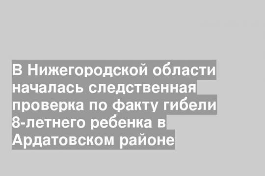 В Нижегородской области началась следственная проверка по факту гибели 8-летнего ребенка в Ардатовском районе