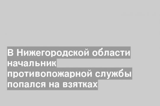 
Фото: СУ СК по Нижегородской области