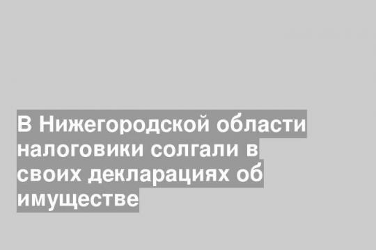 В Нижегородской области налоговики солгали в своих декларациях об имуществе