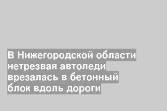 В Нижегородской области нетрезвая автоледи врезалась в бетонный блок вдоль дороги