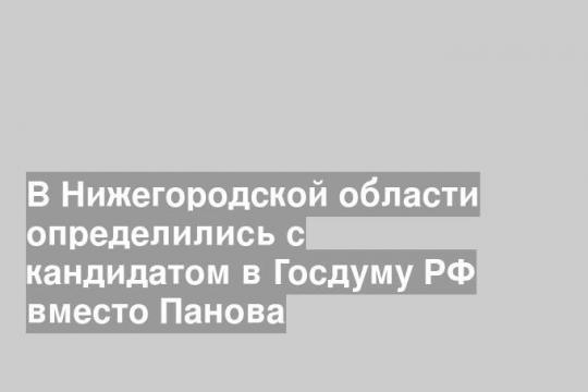 В Нижегородской области определились с кандидатом в Госдуму РФ вместо Панова
