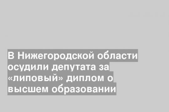 В Нижегородской области осудили депутата за «липовый» диплом о высшем образовании