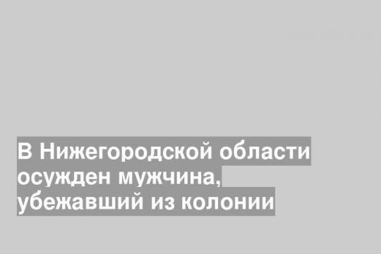В Нижегородской области осужден мужчина, убежавший из колонии