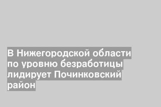 В Нижегородской области по уровню безработицы лидирует Починковский район