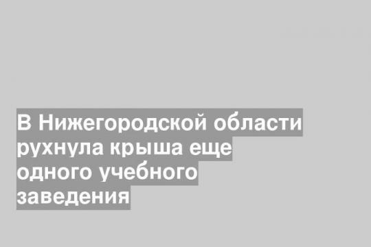 В Нижегородской области рухнула крыша еще одного учебного заведения