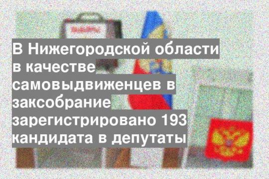 В Нижегородской области в качестве самовыдвиженцев в заксобрание зарегистрировано 193 кандидата в депутаты