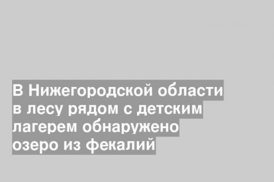 В Нижегородской области в лесу рядом с детским лагерем обнаружено озеро из фекалий
