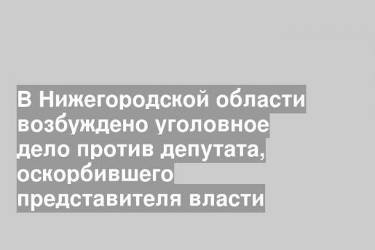 В Нижегородской области возбуждено уголовное дело против депутата, оскорбившего представителя власти