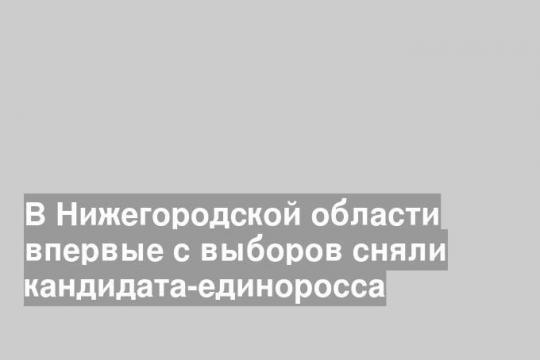 В Нижегородской области впервые с выборов сняли кандидата-единоросса