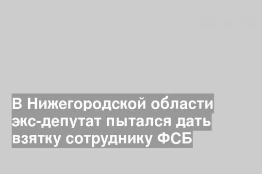 В Нижегородской области экс-депутат пытался дать взятку сотруднику ФСБ