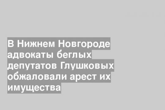 В Нижнем Новгороде адвокаты беглых депутатов Глушковых обжаловали арест их имущества