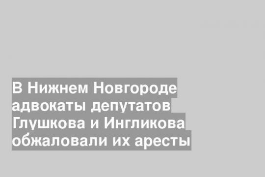 В Нижнем Новгороде адвокаты депутатов Глушкова и Ингликова обжаловали их аресты