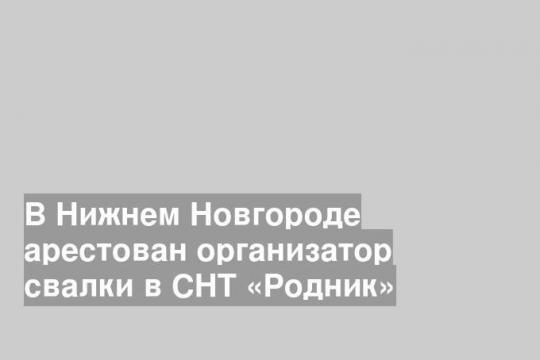 newsler.ru