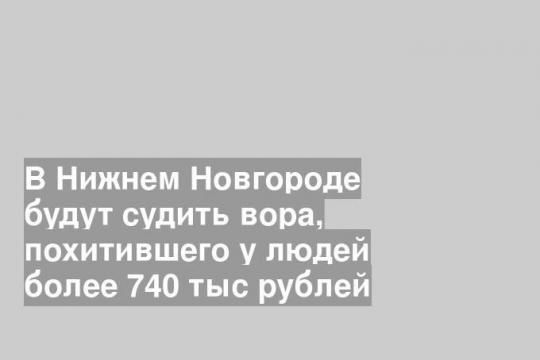 В Нижнем Новгороде будут судить вора, похитившего у людей более 740 тыс рублей