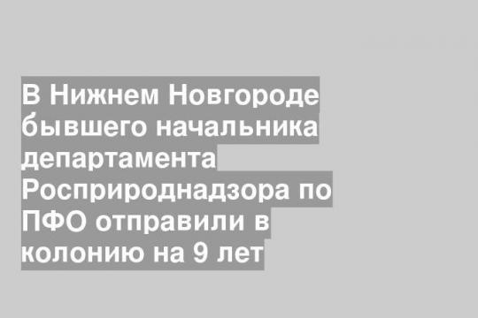 В Нижнем Новгороде бывшего начальника департамента Росприроднадзора по ПФО отправили в колонию на 9 лет