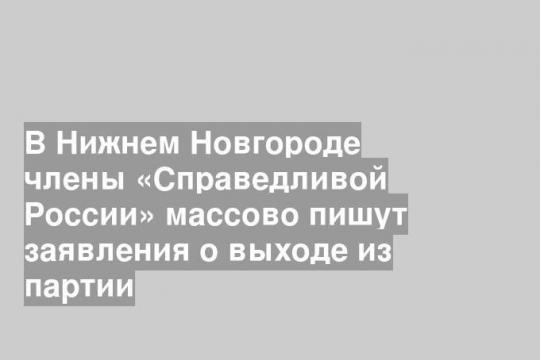 В Нижнем Новгороде члены «Справедливой России» массово пишут заявления о выходе из партии