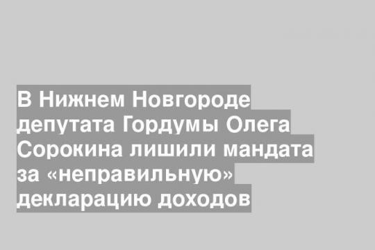 В Нижнем Новгороде депутата Гордумы Олега Сорокина лишили мандата за «неправильную» декларацию доходов