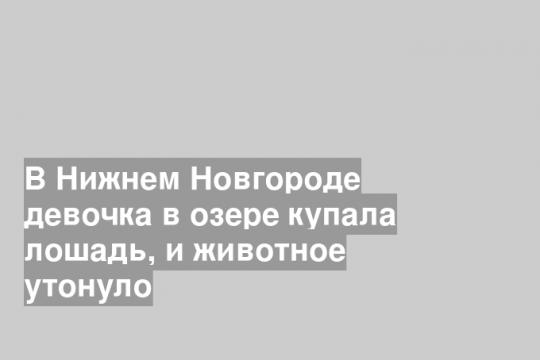 В Нижнем Новгороде девочка в озере купала лошадь, и животное утонуло