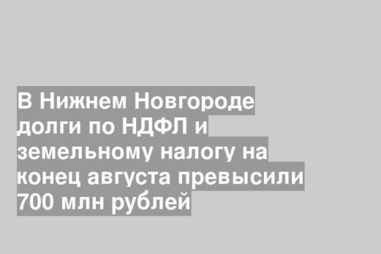 В Нижнем Новгороде долги по НДФЛ и земельному налогу на конец августа превысили 700 млн рублей