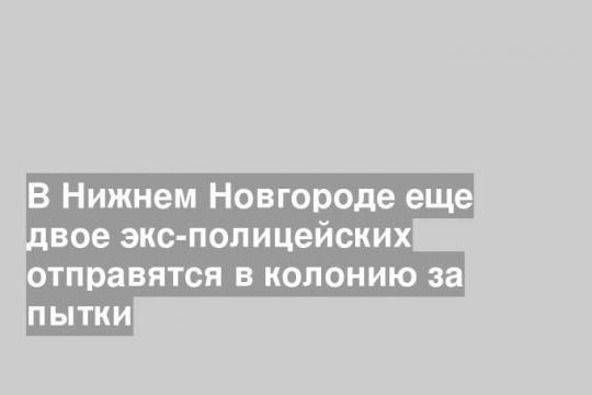 В Нижнем Новгороде еще двое экс-полицейских отправятся в колонию за пытки