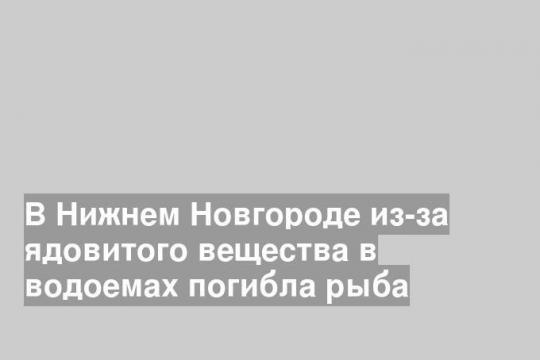 В Нижнем Новгороде из-за ядовитого вещества в водоемах погибла рыба