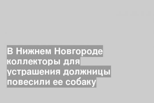 В Нижнем Новгороде коллекторы для устрашения должницы повесили ее собаку