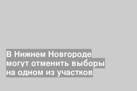 В Нижнем Новгороде могут отменить выборы на одном из участков