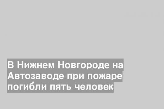 В Нижнем Новгороде на Автозаводе при пожаре погибли пять человек