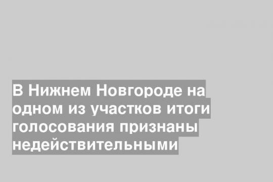 В Нижнем Новгороде на одном из участков итоги голосования признаны недействительными