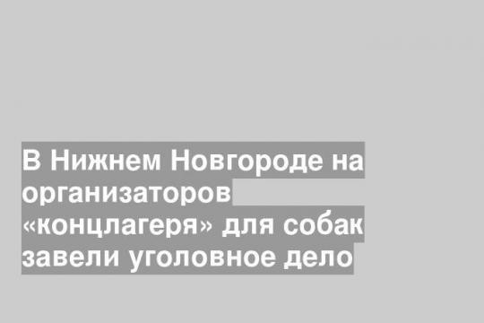 В Нижнем Новгороде на организаторов «концлагеря» для собак завели уголовное дело