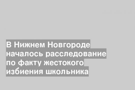 В Нижнем Новгороде началось расследование по факту жестокого избиения школьника