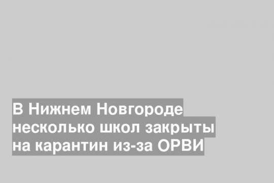 В Нижнем Новгороде несколько школ закрыты на карантин из-за ОРВИ