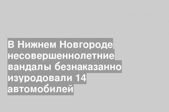 В Нижнем Новгороде несовершеннолетние вандалы безнаказанно изуродовали 14 автомобилей