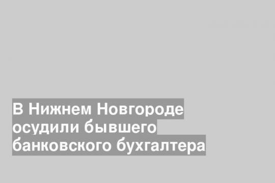 В Нижнем Новгороде осудили бывшего банковского бухгалтера